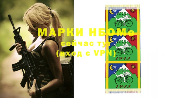 хмурый Дмитриев