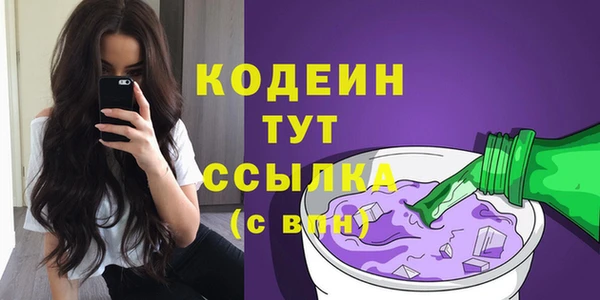 хмурый Дмитриев