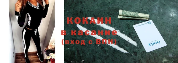 дмт Ельня