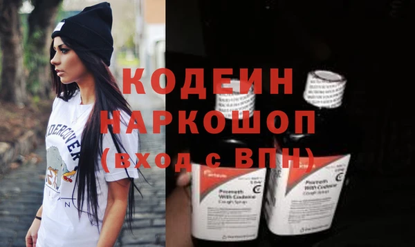 хмурый Дмитриев