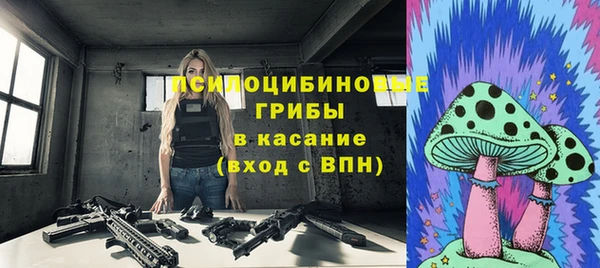 хмурый Дмитриев