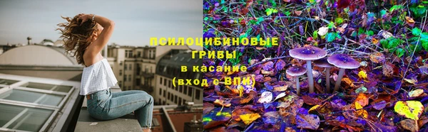 соль курить ск Дмитров